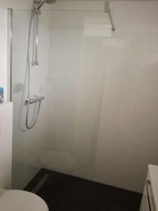 De Zeemeeuw في إغموند آن دن هوف: حمام أبيض مع دش ومرحاض