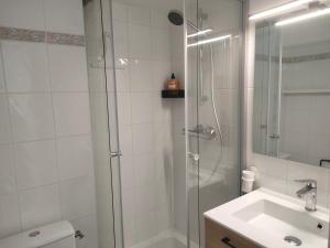 ein Bad mit einer Dusche, einem WC und einem Waschbecken in der Unterkunft Ref 095 - Appartement pour quatre proche port Crouesty in Arzon