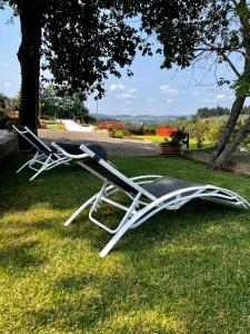 ラストラ・ア・シーニャにあるColle Del Soleの木の下の芝生に座る椅子