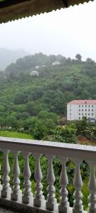 Paesaggio naturale nelle vicinanze dell'appartamento