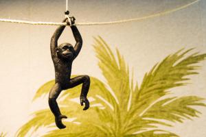 a monkey hanging from a rope on a wall at ibis budget Paris Porte de Vanves in Vanves