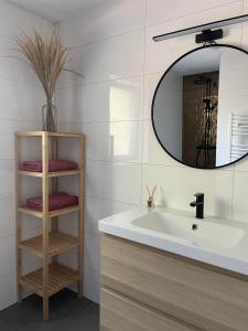 een badkamer met een wastafel en een spiegel bij Luxe Vakantiehuis Vosje op de Veluwe Nunspeet in Nunspeet