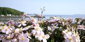 Φυσικό τοπίο κοντά σε αυτό το bed & breakfast