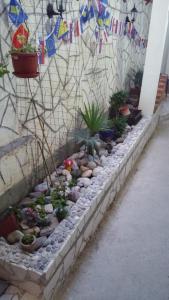 Zahrada ubytování Rooms Vedran