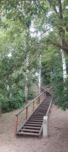 a wooden staircase in the middle of a forest at Raudondvario II in Kaunas