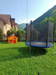 a trampoline in the yard of a house at Pensiunea Casa Ioana in Şugag
