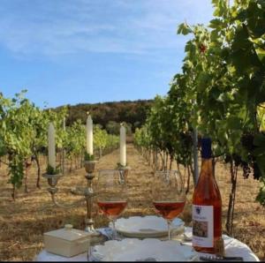 スカルリーノにあるPodere il Carpianoのワイングラスとワイン1本付きのテーブル