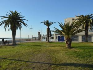 ein Park mit Palmen vor dem Strand in der Unterkunft Appartement Le Grau-du-Roi, 2 pièces, 4 personnes - FR-1-250-136 in Le Grau-du-Roi