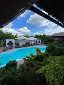 a swimming pool with chairs and umbrellas in a yard at Grigliata Motel and Pool in Glevakha