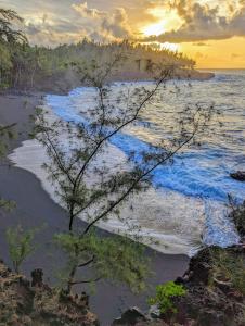 - une vue sur le littoral d'une plage au coucher du soleil dans l'établissement Kehena Mauka Nui Club LGBTQIA+ Clothing Optional, à Pahoa