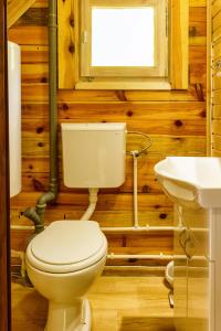 a bathroom with a toilet and a sink at Brvnare 3 zvezde brvnara Veljko in Kokin Brod