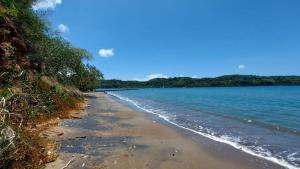 a view of a beach with water and trees at 3 bedrooms Rentals in Port Morant St Thomas in Belfast