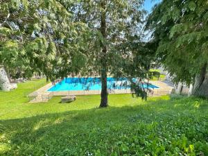 una piscina en un parque con un árbol en Apartamentos Confort Formigal 3000, en Formigal