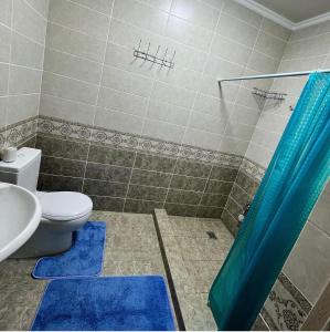 ein Badezimmer mit einem WC und einer Dusche mit blauen Teppichen in der Unterkunft Сдается коттедж на берегу озера Иссык Куль in Chon-Sary-Oy