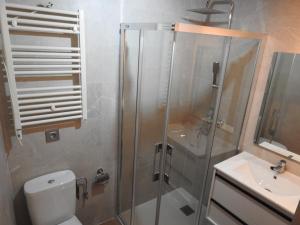 a bathroom with a shower and a toilet and a sink at CASUCA LA SOLANA in Potes