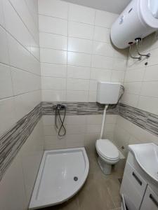 Fotografie z fotogalerie ubytování Big House v destinaci Petrovaradin