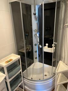 a shower with a glass door in a bathroom at Grand Central Apartments in Katowice