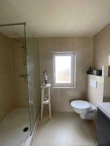 a bathroom with a toilet and a shower and a window at Cozy appartaments in green area in Sint-Martens-Latem
