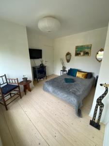1 dormitorio con 1 cama, 1 silla y TV en Cozy appartaments in green area en Sint-Martens-Latem