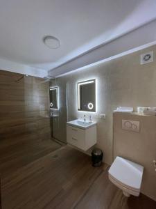 a bathroom with a toilet and a sink and a shower at Pensiunea Perla Codrului 