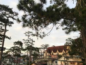 Fotografie z fotogalerie ubytování Whispering Pines Dalat (Thông Thì Thầm ĐL) v destinaci Da Lat