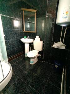Gallery image of Casa Alexandru in 2 Mai