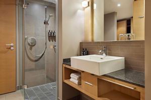 紐堡的住宿－Lindner Hotel Nurburgring Congress, part of JdV by Hyatt，一间带水槽和淋浴的浴室