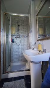 a bathroom with a shower and a sink and a shower at Ard na Greine Bed & Breakfast Ballylickey in Ballylickey