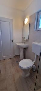 a bathroom with a toilet and a sink at VILA DVG II in Costinesti +27 photos