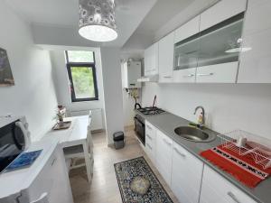 una cucina bianca con lavandino e bancone di Luxe Hideaway Apartments a Iaşi
