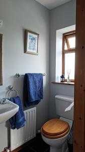 łazienka z toaletą, umywalką i niebieskimi ręcznikami w obiekcie Ard na Greine Bed & Breakfast Ballylickey w mieście Ballylickey