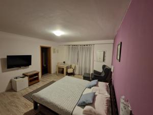 1 dormitorio con 1 cama grande y sala de estar en Guest house Wolf II en Plitvička Jezera