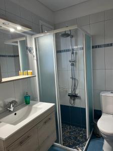 a bathroom with a shower and a sink and a toilet at Luxury Studio Artemida in Artemida