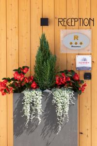 un plantador con un árbol de Navidad y flores rojas en Residence Kugler en San Candido