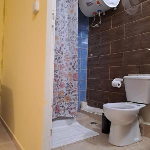 a bathroom with a toilet and a shower curtain at Zenia Home 1 Στην καρδιά της Πάτρας in Patra