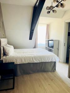 a bedroom with a large bed and a television at Rezidence Wannas Self Check in in Sigulda