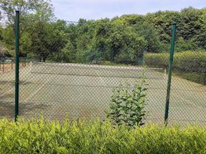 um campo de ténis com dois campos de ténis em Chalet Forsthof Everstorf - kleine Wohnung em Grevesmühlen