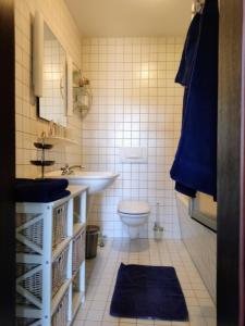 uma casa de banho com um lavatório e um WC em Chalet Forsthof Everstorf - kleine Wohnung em Grevesmühlen