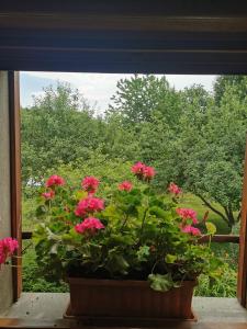 Zahrada ubytování La grange à Léon