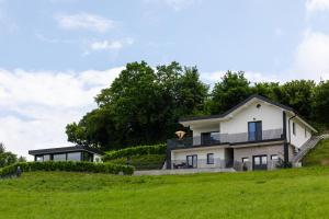 een huis op een heuvel met een groen veld bij Vila Emina in Podčetrtek