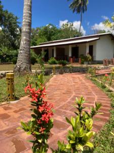 Jardí fora de The View Hotel Sigiriya