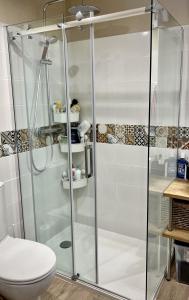 une cabine de douche dans une salle de bain avec toilettes dans l'établissement Maison de village avec jardin à 3 km des plages., à Loupian 15 autres photos