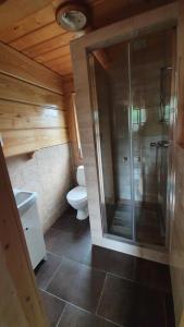 a bathroom with a toilet and a glass shower at Bieszczady Domki w Dolinie Sanu in Lutowiska