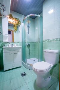 a bathroom with a toilet and a glass shower at Apartman 2 Budva in Budva