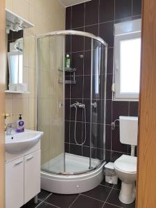 een badkamer met een douche, een toilet en een wastafel bij Апартаменты Дженовичи in Ðenovići