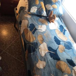 uma cama com um urso de peluche sentado em cima dela em Mar y castillo em Cullera