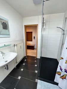 uma casa de banho com um chuveiro e um lavatório. em Ferienwohnungen Wotan em Thale
