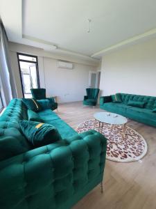 - un salon avec un canapé vert et une table dans l'établissement Royal Evleri, à Trabzon