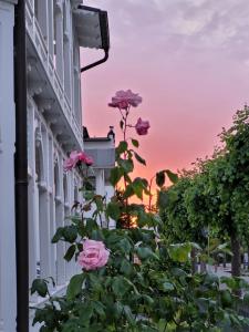 Zahrada ubytování Hotel Villa Meeresgruss