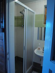 y baño con ducha y lavamanos. en Gemütliches Blockhaus am Moldaustausee, en Horní Planá
